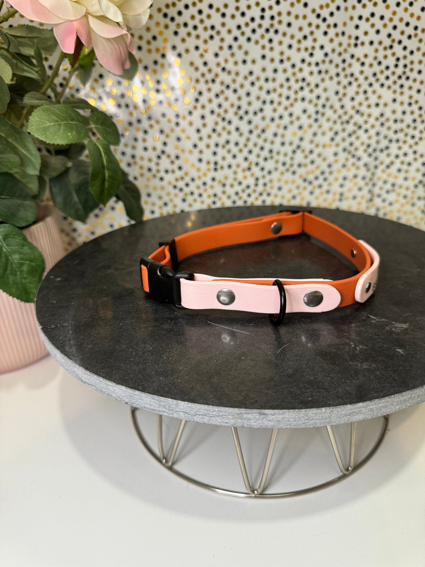 Collar Click 16mm PVC Personalizable