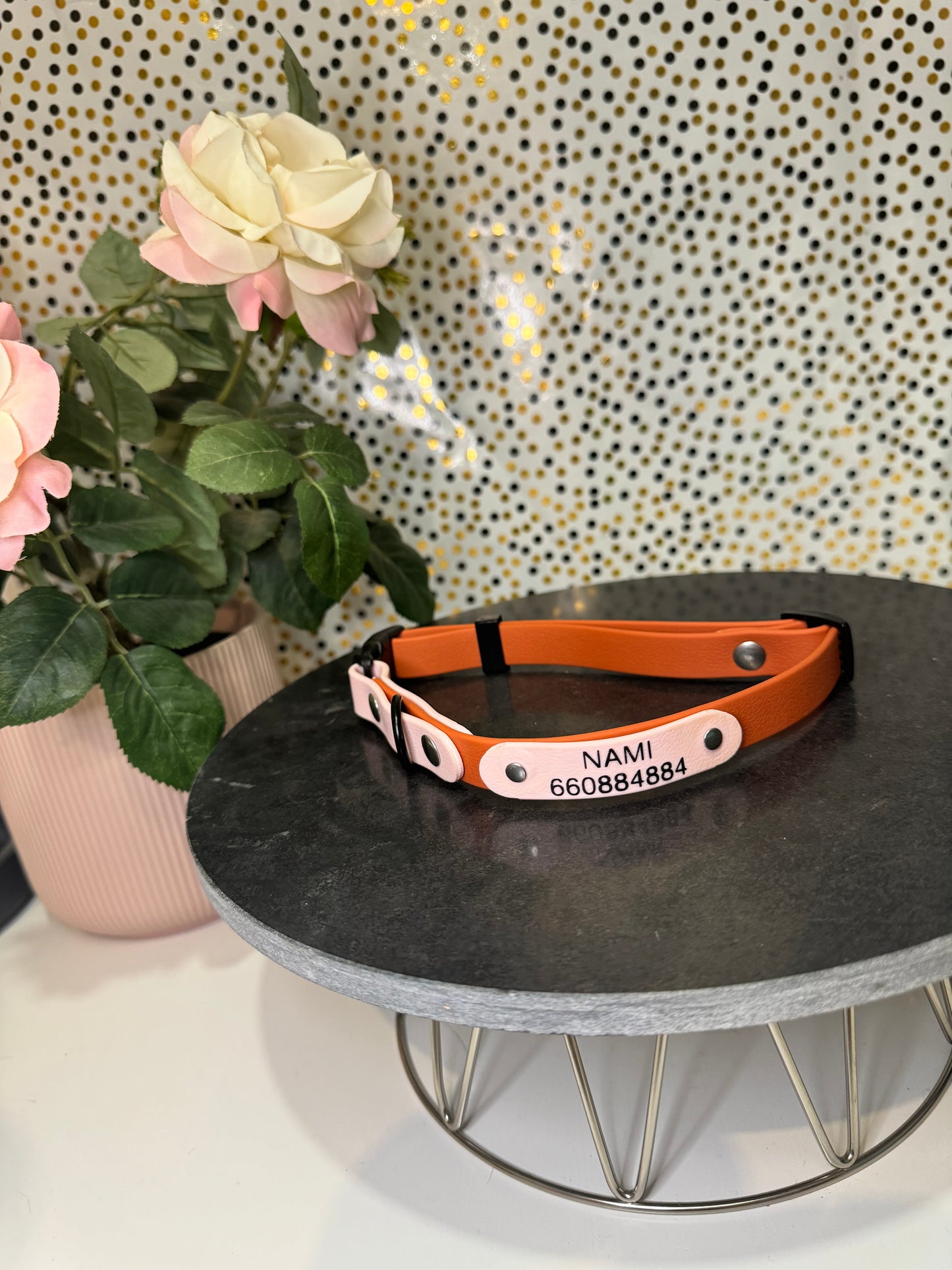 Collar CLICK PVC Personalizable