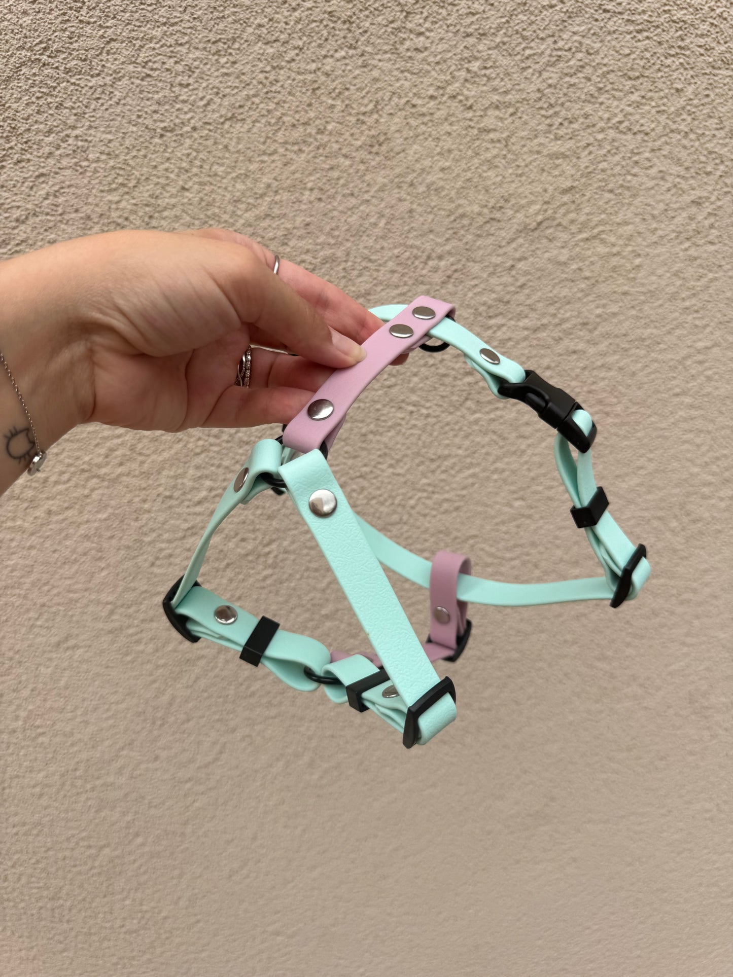 Arnés Click 20mm PVC Personalizable