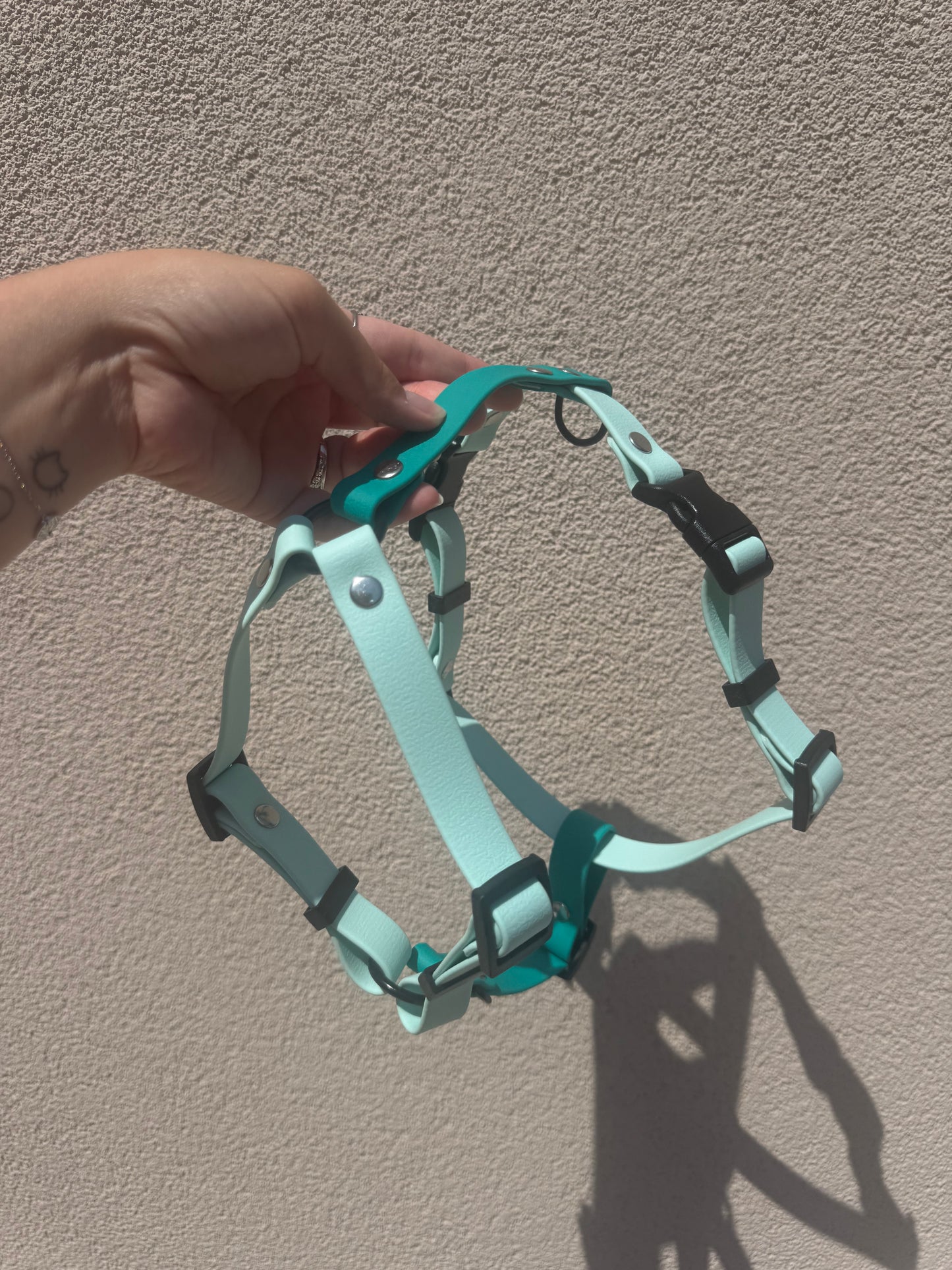 Arnés Click 20mm PVC Personalizable