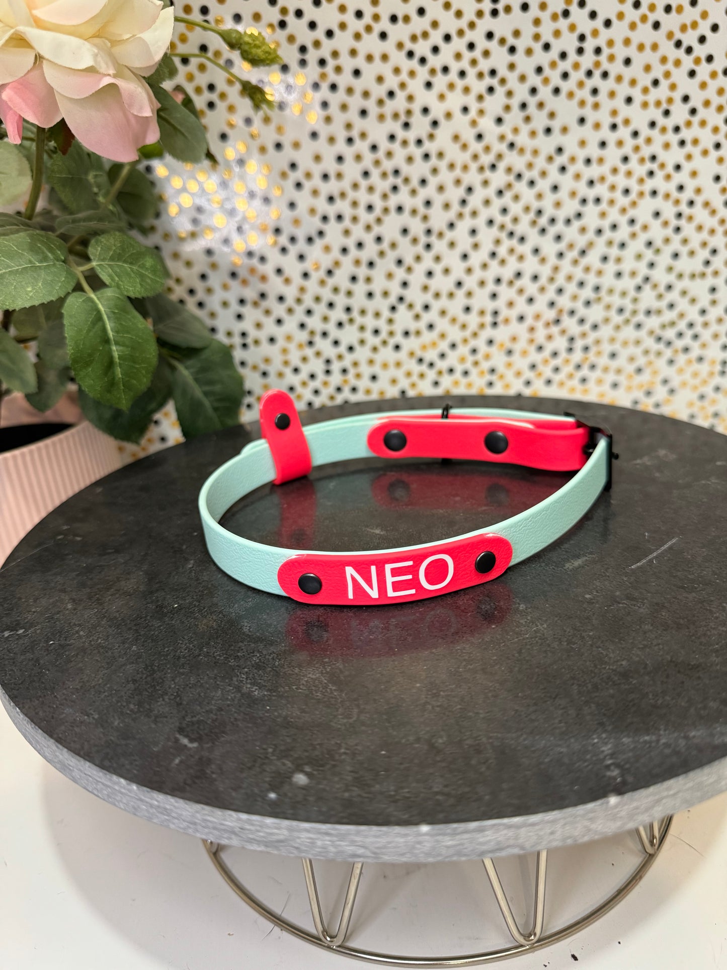 Customizable PVC Collar