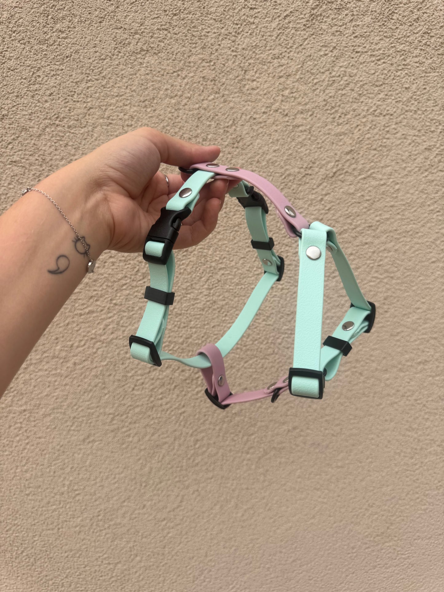 Arnés Click 20mm PVC Personalizable