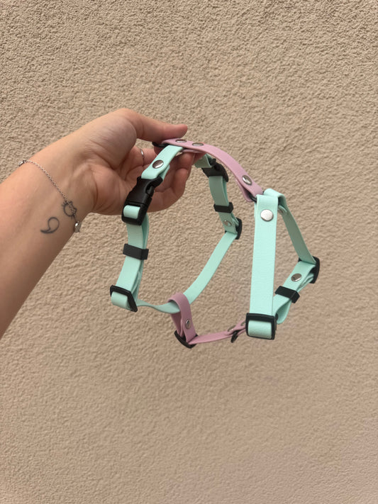 Arnés Click 20mm PVC Personalizable