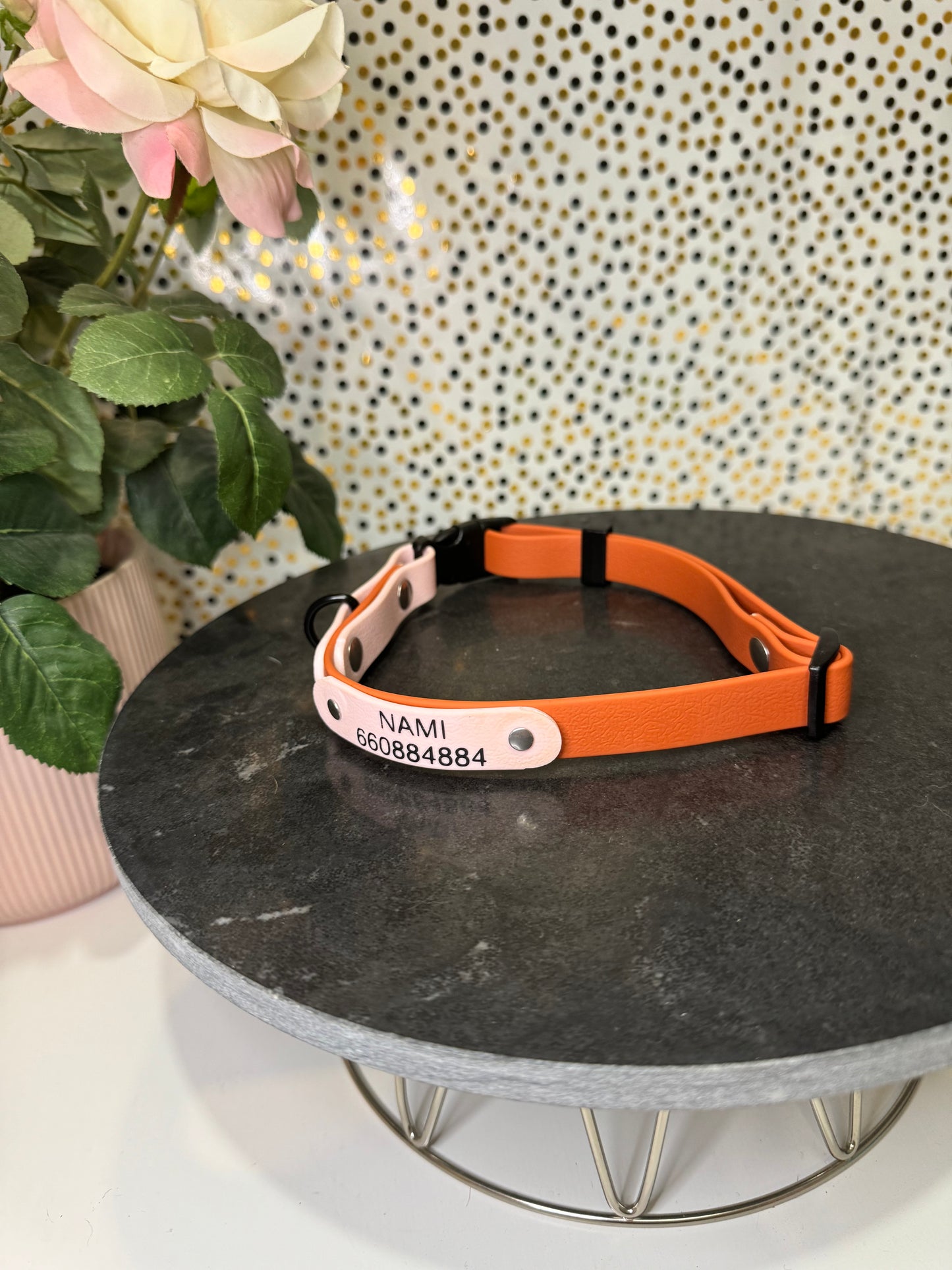 Collar CLICK PVC Personalizable